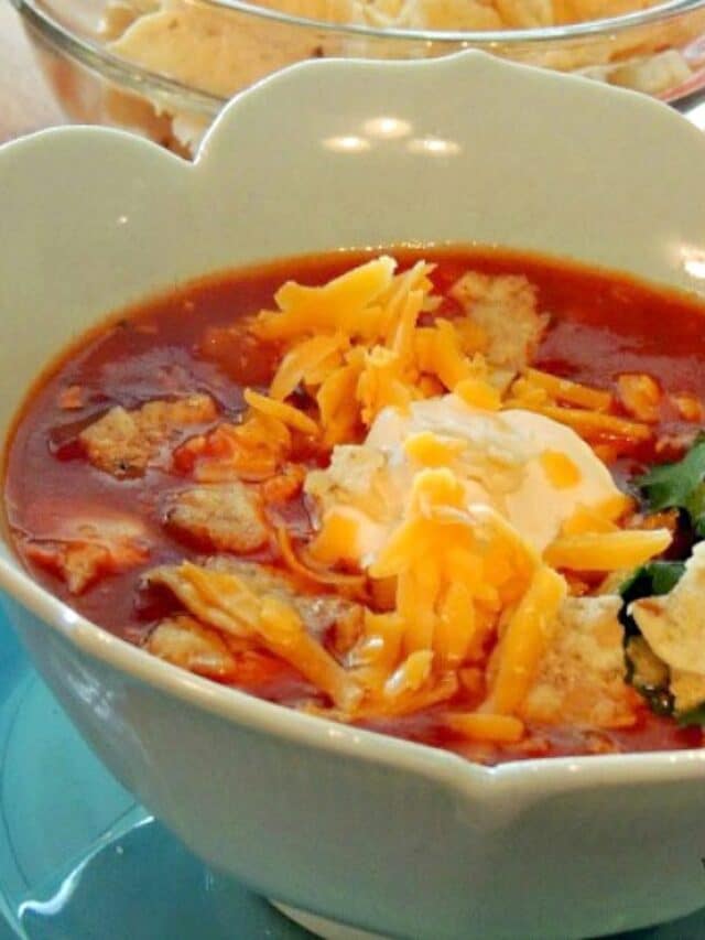 Chicken Tortilla Soup Story Walking On Sunshine Recipes