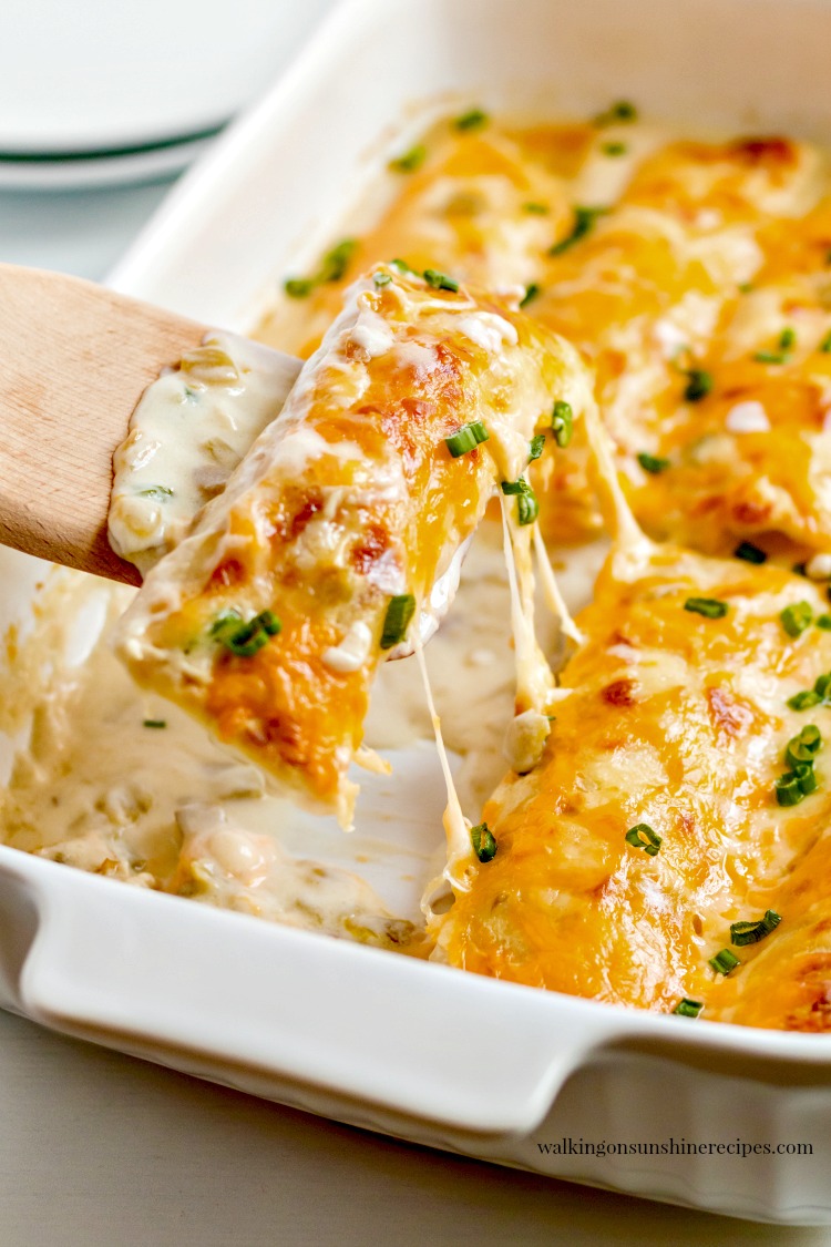 Serving Creamy Chicken Enchiladas from Walking on Sunshine Recipes 