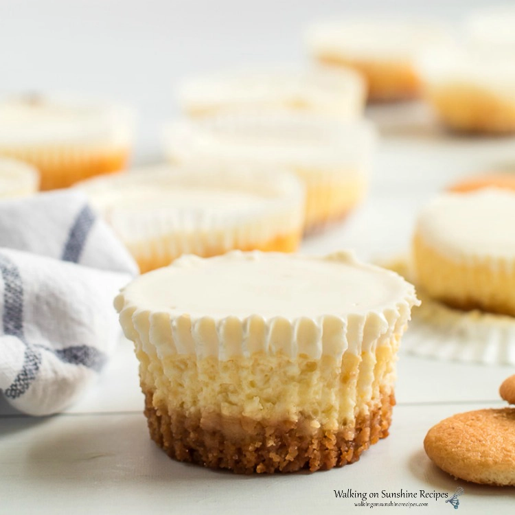 Closeup of Cheesecake Cupcakes with Sour Cream Topping