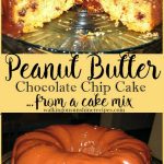 Peanut Butter Chocolate Chip Cake from a cake mix from Walking on Sunshine