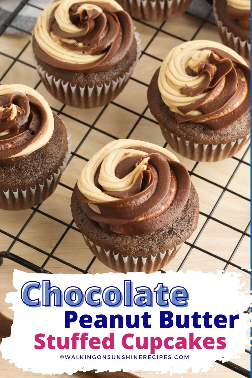 chocolate peanut butter cupcakes with peanut butter filling.