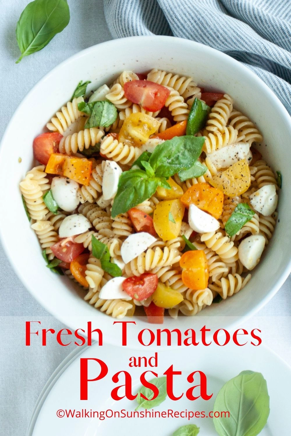pasta fresh tomatoes