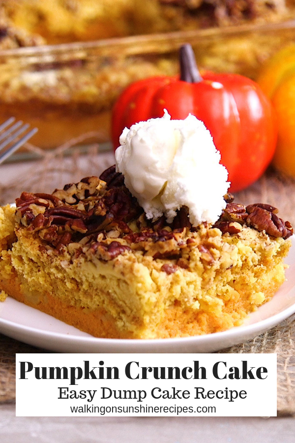 Pumpkin Crunch Cake with VIDEO - Walking On Sunshine Recipes