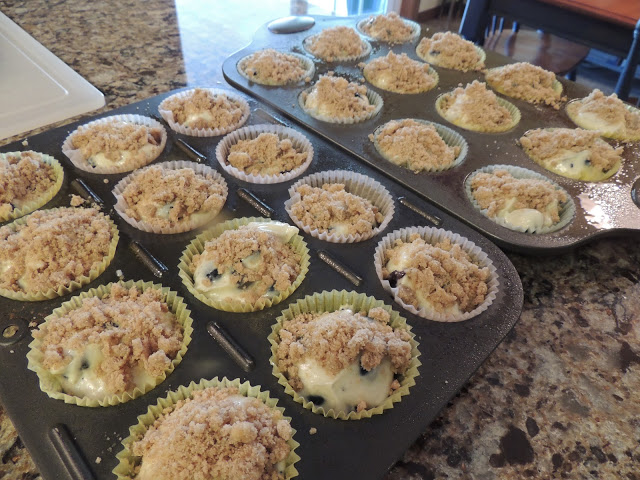 vegan blueberry muffins with crumb topping