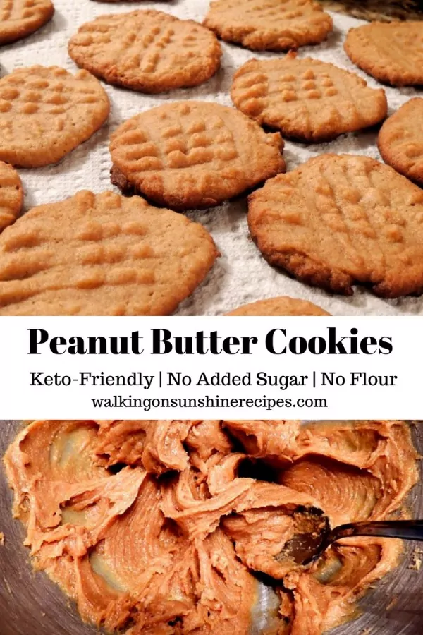 no sugar peanut butter cookies