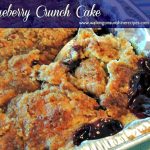 Blueberry Crunch Cake or Blueberry Dump Cake Recipe from WOS