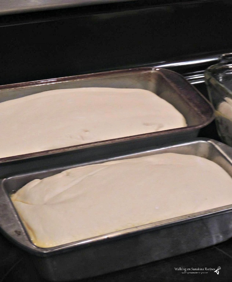 Bread dough in loaf pan rising. 