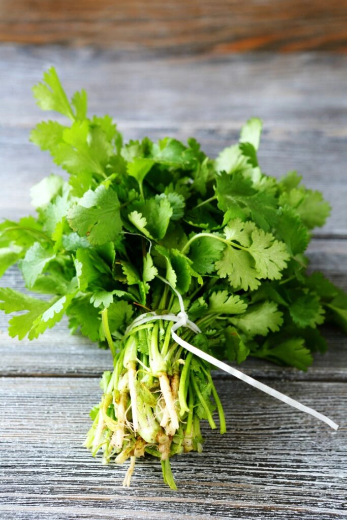 Bunch of fresh parsley tied together on wooden board. 
