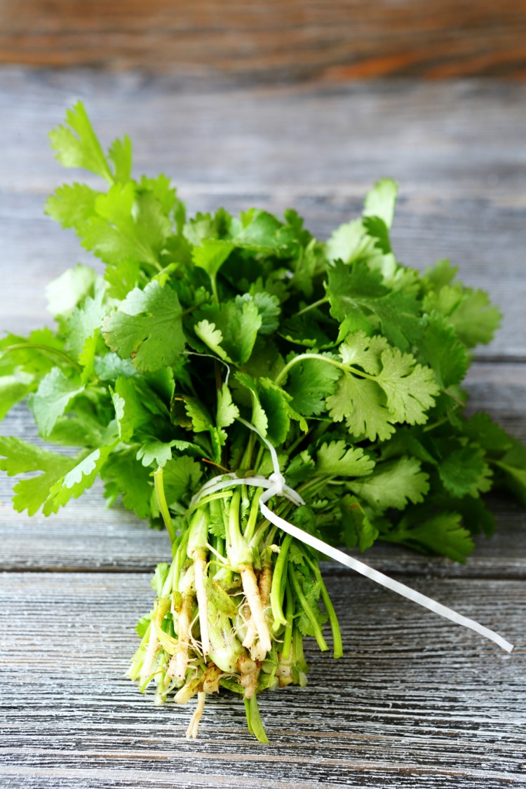 Fresh parsley on cutting board tied. 