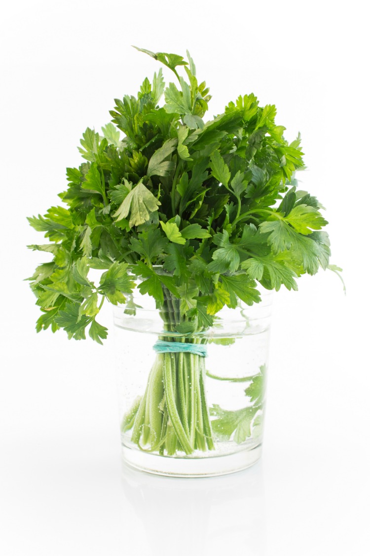 Fresh Parsley in jar of water with rubber band around the bottom. 