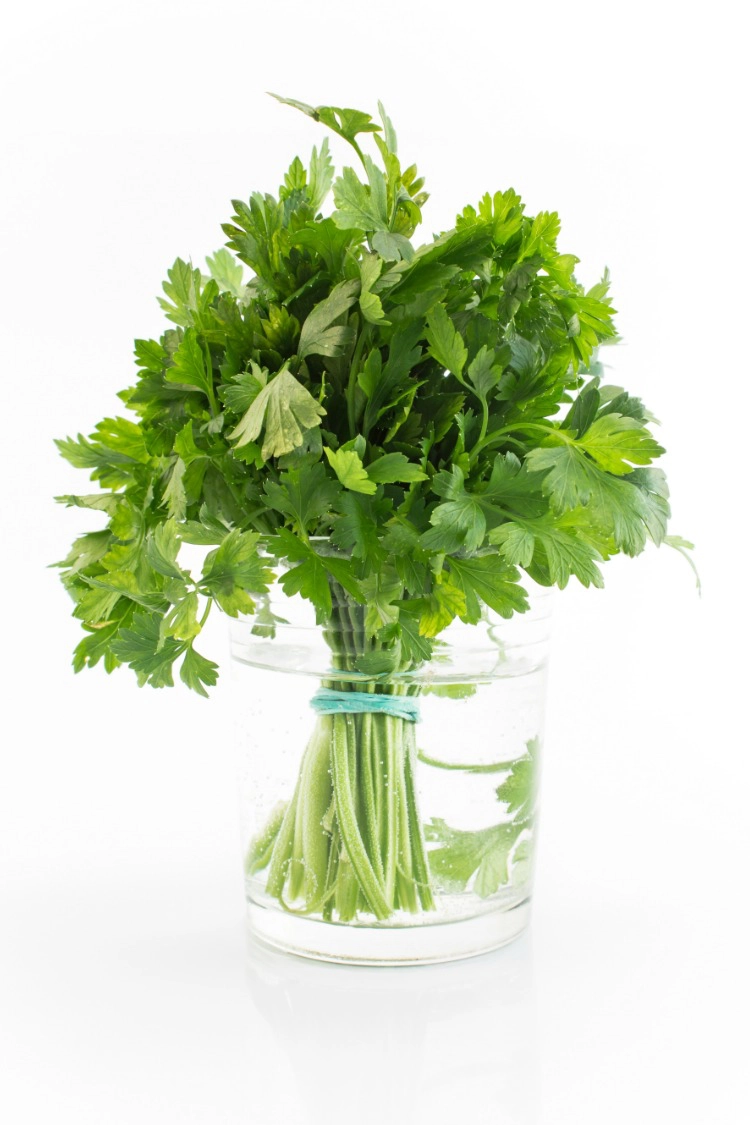 Fresh Parsley in jar of water with rubber band around the bottom. 