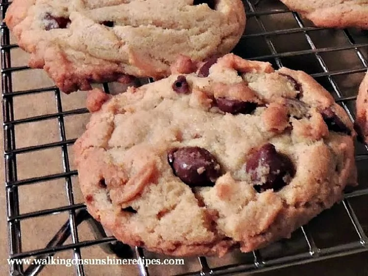 Chocolate Chip Cookies with Pudding Mix on baking rack. 