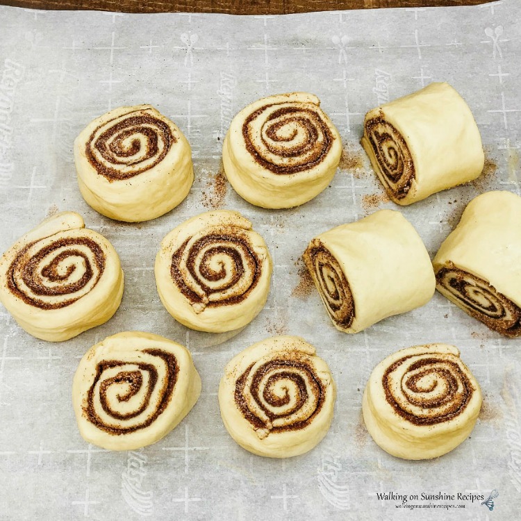 Cinnamon Rolls Sliced on Parchment Paper from WOS