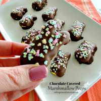 Chocolate Covered Marshmallow Peeps