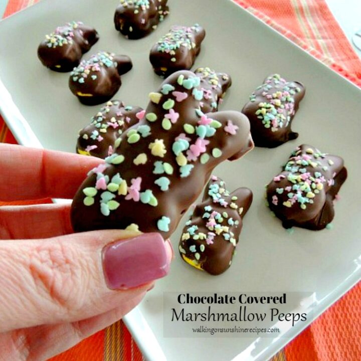 Chocolate Covered Marshmallow Peeps