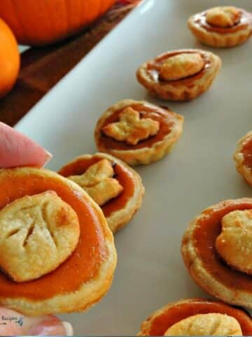 cropped-Mini-Pumpkin-Pies-with-pie-crust-shape-cut-outs-from-WOS.jpg