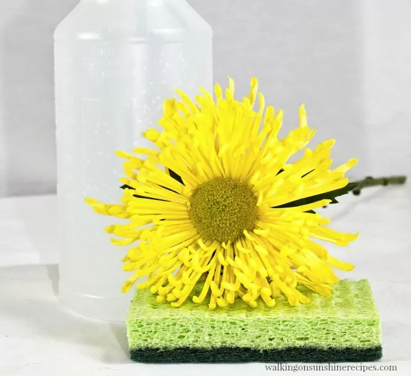 Spray Bottle with kitchen sponge and yellow flower