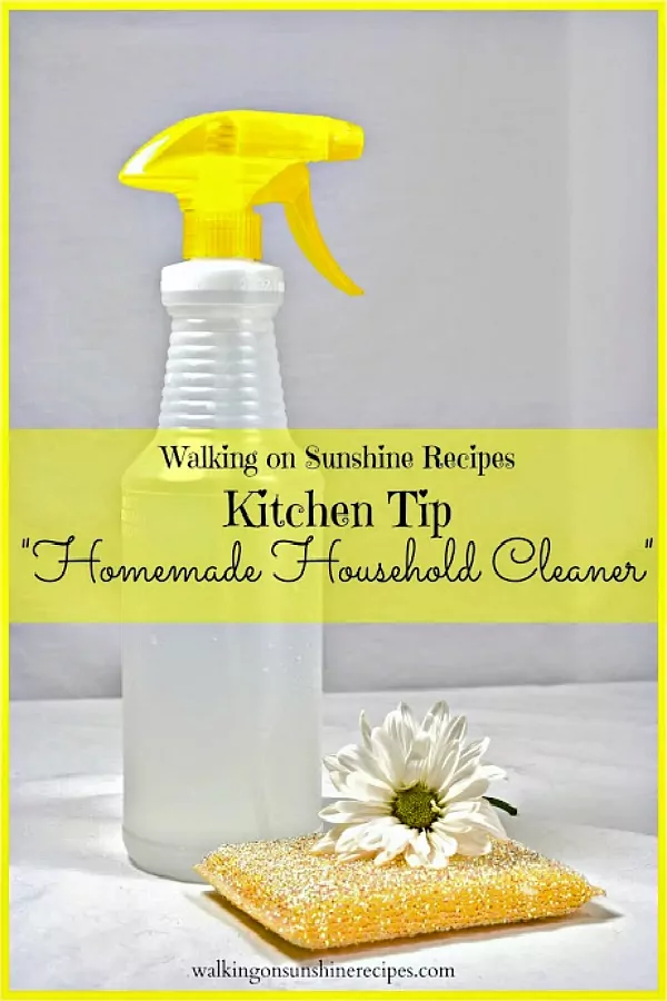 Kitchen Tip Homemade Household Cleaner