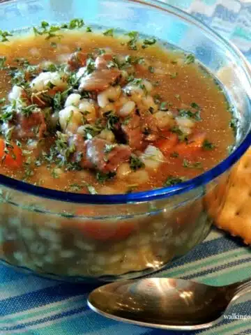 cropped-Beef-Barley-Soup-in-Bowl-with-Crackers-WOS.jpg
