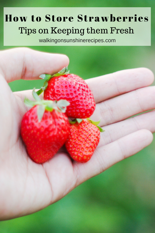 Storing Fresh Strawberries