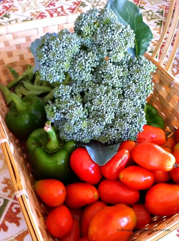 Basket of Broccoli, tomatoes and peppers from the WOS Garden