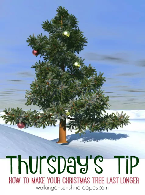 Come find the tips you need to know to help your Christmas tree last longer today on Walking on Sunshine Recipes. 