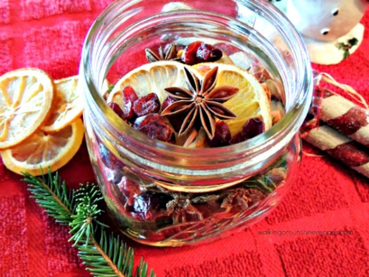 Simmering Potpourri - A Great Christmas Gift Idea