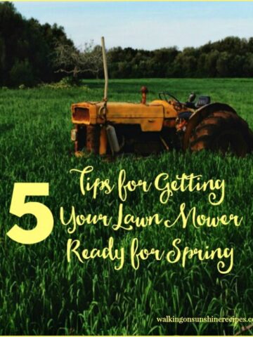 5 Tips for Getting your Lawn Mower Ready for Spring and Summer Gardening