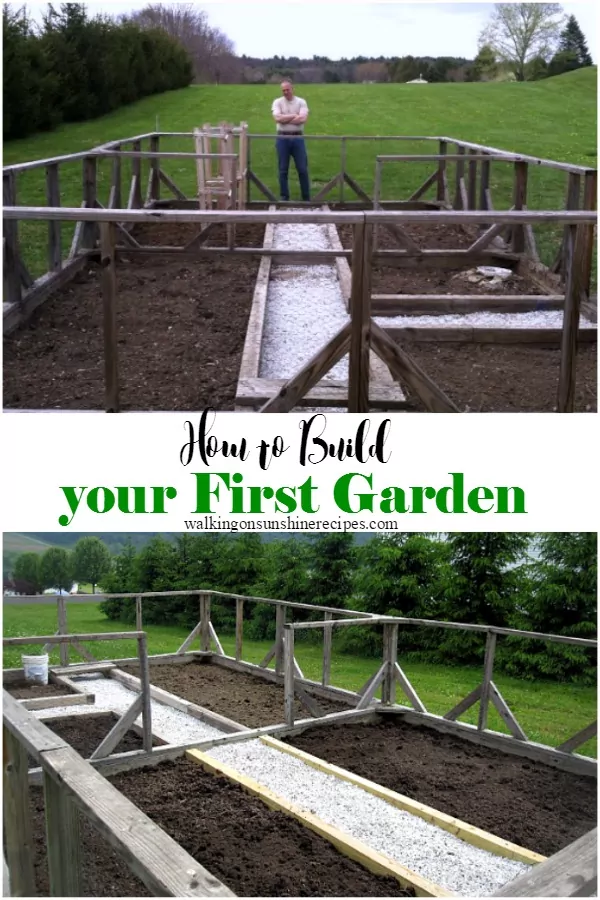 How to Build your First Garden from Walking on Sunshine
