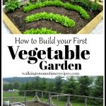 How to Build your First Garden - Thursday's Tip from Walking on Sunshine Recipes Resized cropped
