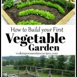 How to Build your First Garden - Thursday's Tip from Walking on Sunshine Recipes Resized cropped