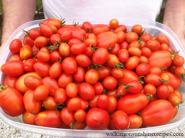 How to build your first garden is this week's Thursday's Tip from Walking on Sunshine Recipes. 