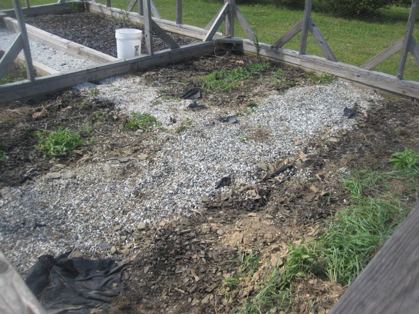 Uncovering the garden after winter. 