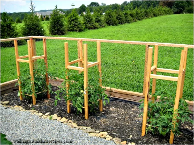 Homemade Tomato Cages from Walking on Sunshine Recipes