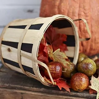 Front Porch: How to Decorate for Fall on a Budget from Walking on Sunshine Recipes. 
