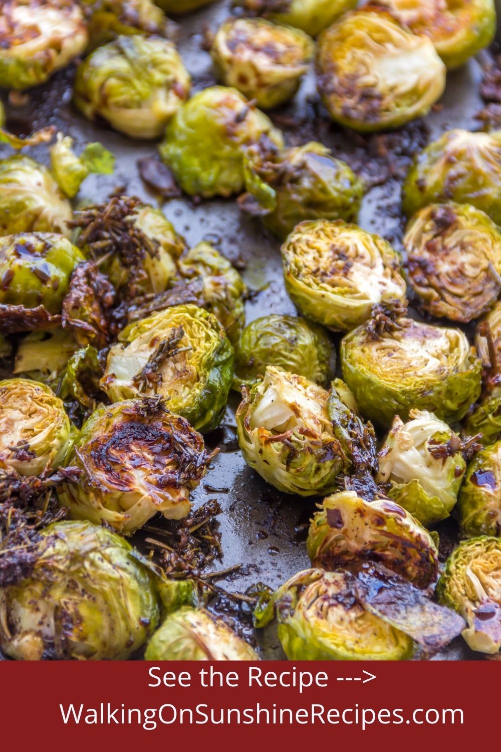 Roasted Brussels Sprouts on Baking Tray. 