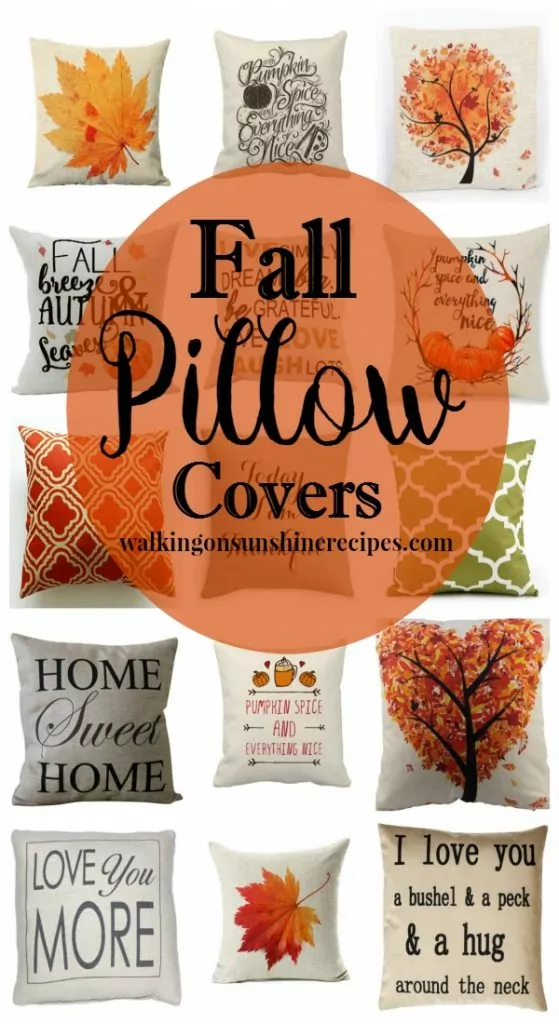 Fall Pillow Covers from Walking on Sunshine Recipes