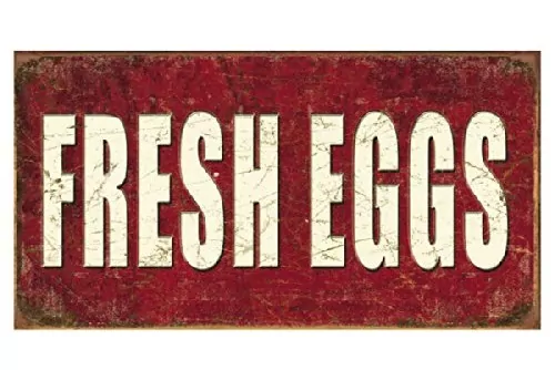 Fresh Eggs Sign