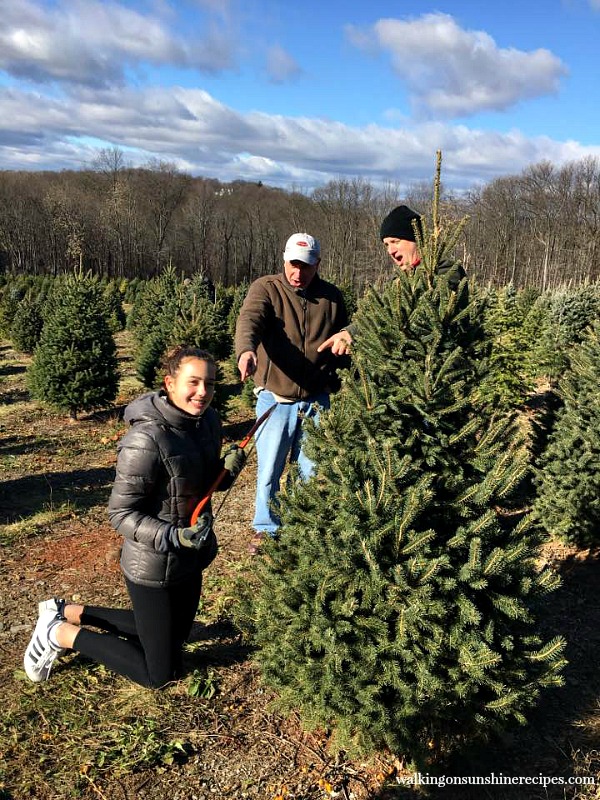 Gracie wanted to cut down the Christmas tree by herself from Walking on Sunshine. 