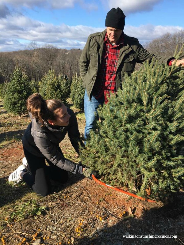 My husband giving Gracie advice on cutting down the Christmas tree from Walking on Sunshine. 