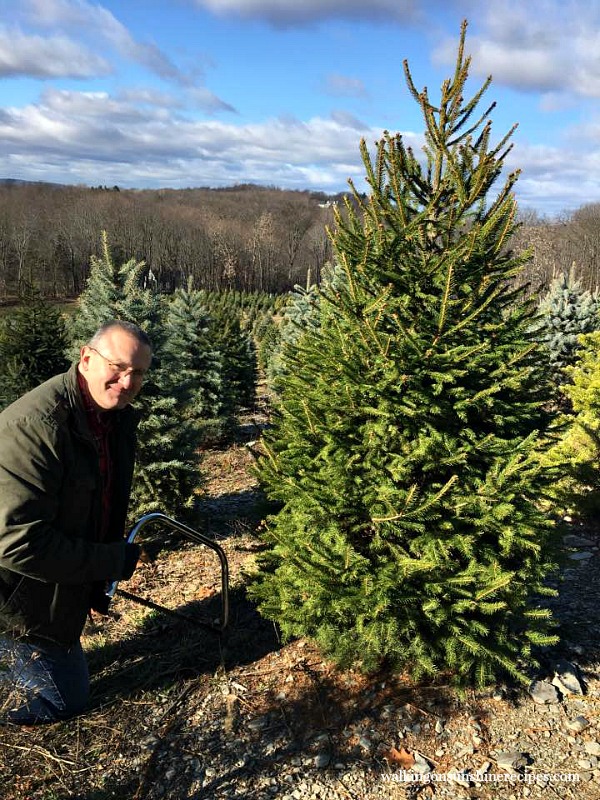 My husband cutting down our Christmas tree from Walking on Sunshine.