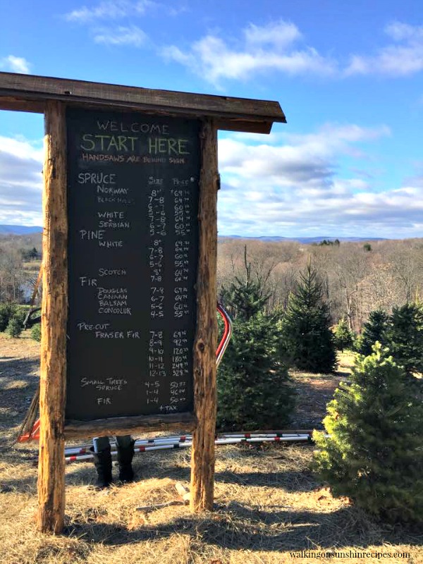 Sign informing us of the different varieties of Christmas trees available. 