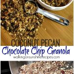 Coconut Pecan Chocolate Chip Granola