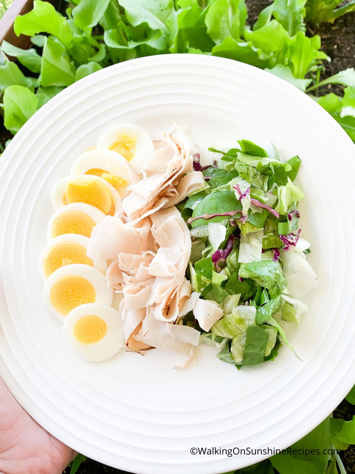 Lettuce salad, turkey and hard boiled egg for Homemade Italian Salad Dressing.