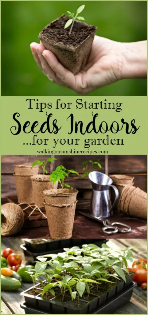 How to start seeds indoors for a great garden this summer from Walking on Sunshine. 