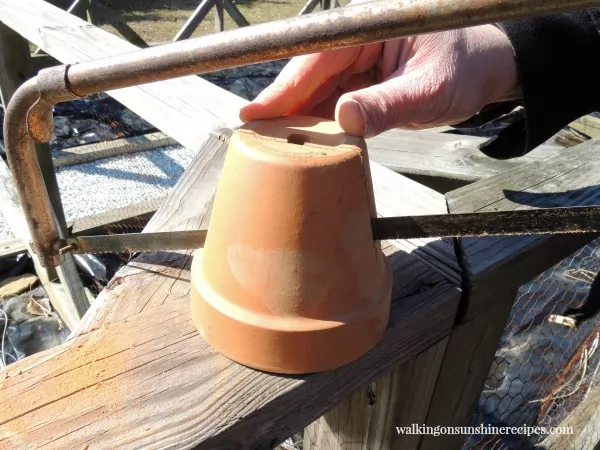 Using a hacksaw cut the small clay pot in half for the Resurrection Garden from Walking on Sunshine