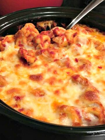 Cheese Baked Tortellini FEATURED photo from WOS