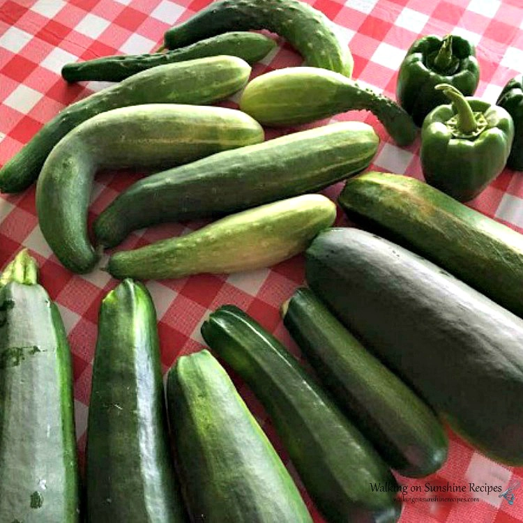 Cucumbers from the Garden 2017
