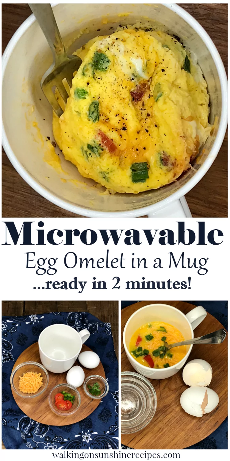 Microwavable Egg Omelet Ready in 2 Minutes