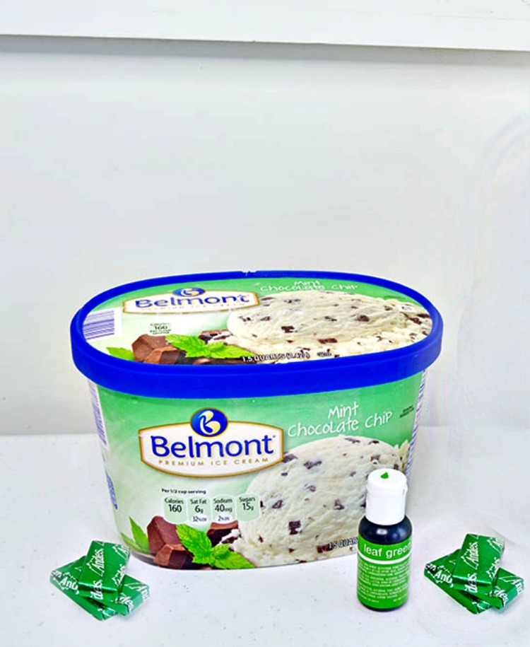 Ingredients for Chocolate Chip Mint Ice Cream Soda